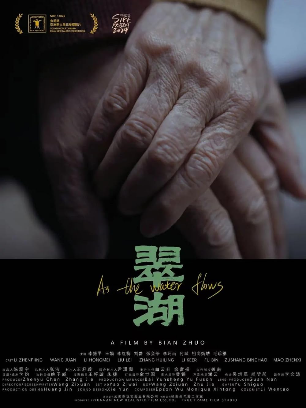 Cui Hu (2025)