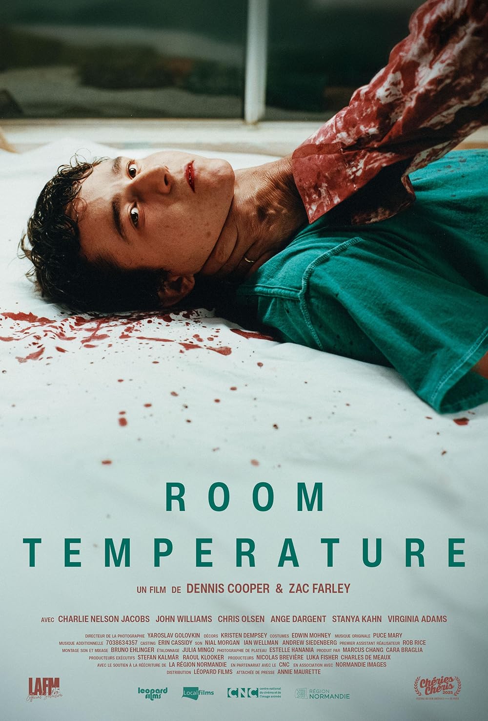 Room Temperature (2025)