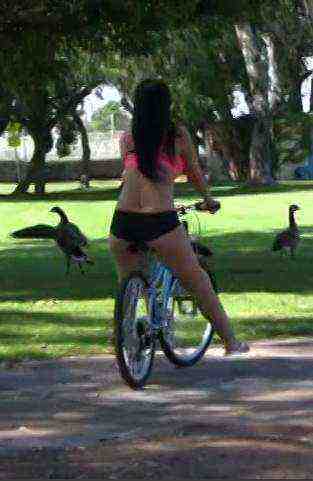 [18+] AS2014 Customer Appreciation Big Butts On Bicycles