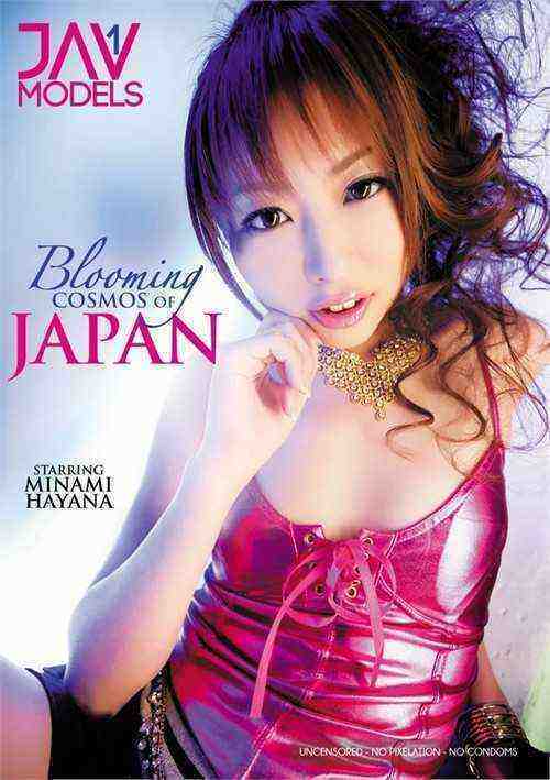 [18+] Blooming Cosmos Of Japan