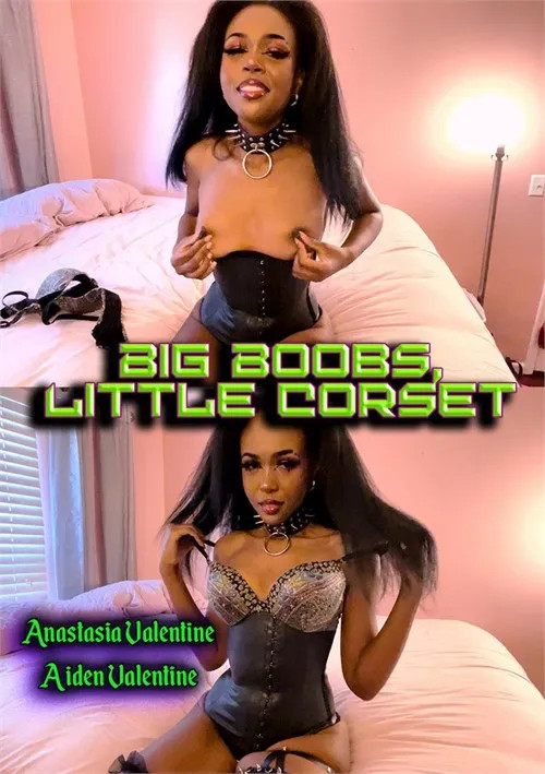 [18+] Big Boobs Little Corset