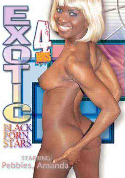 [18+] Exotic Black Porn Stars