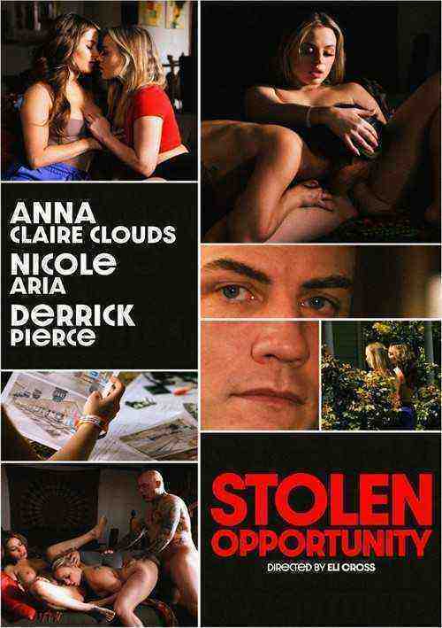 [18+] Stolen Opportunity
