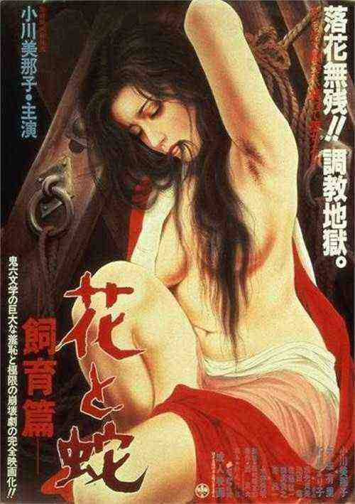 [18+] HANA-198