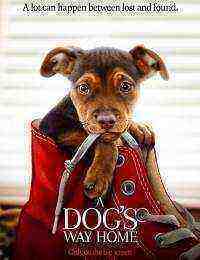 A Dog's Way Home (2019)