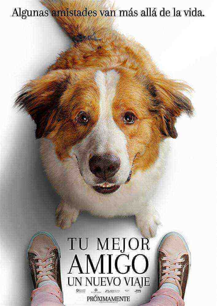 A Dogs Journey (2019)
