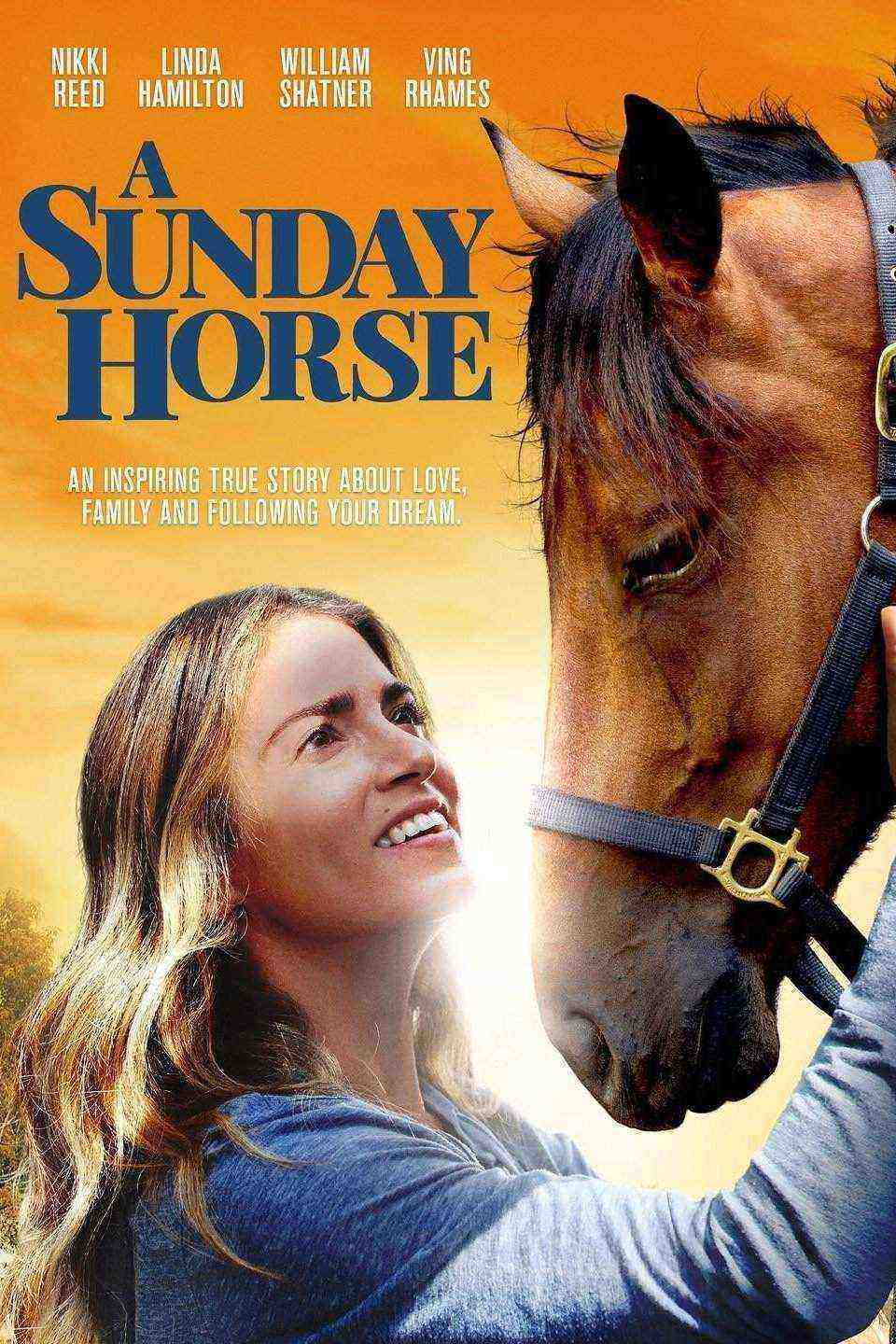 a-sunday-horse (2016)