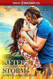After the Storm (2019) 