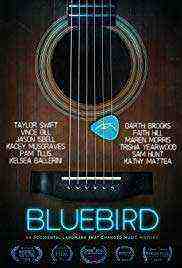 Bluebird (2020)
