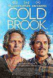 Cold Brook (2019)