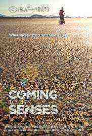 Coming to My Senses (2017)