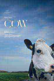 Cow (2022)