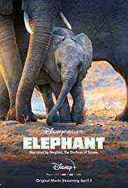 Elephant (2020) 