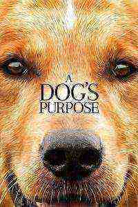 A Dog's Purpose (2017)