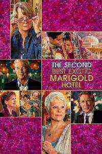 The Second Best Exotic Marigold Hotel (2015)