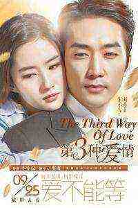 The Third Way of Love (2015)