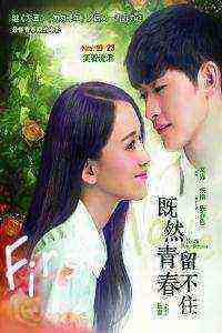Youth Never Returns (2015)