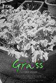 Grass (2018)