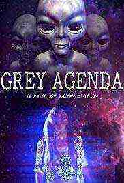 Grey Agenda (2017)