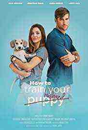 How to Train Your Husband or (How to Pick Your Second Husband First) (2017)