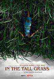 In the Tall Grass (2019)