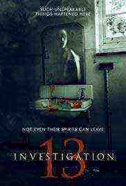 Investigation 13 (2019)