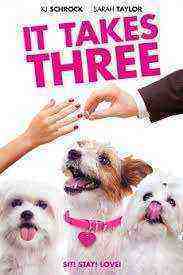 It Takes Three (2019)