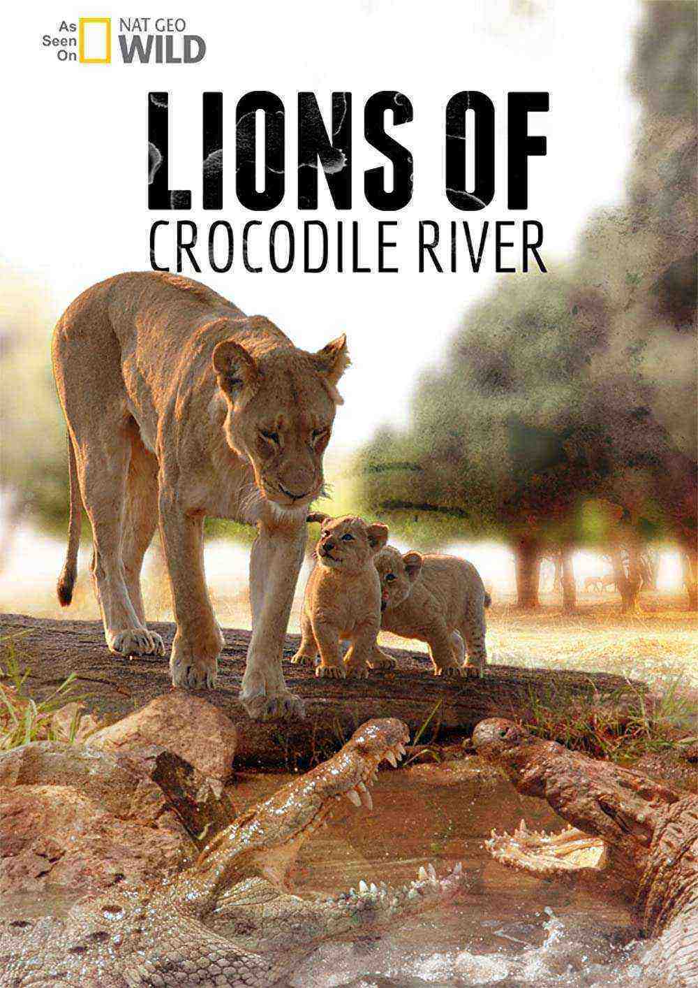 Lions of Crocodile River (2021)