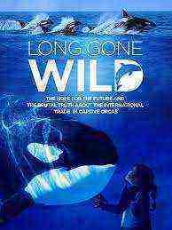 Long Gone Wild (2019)