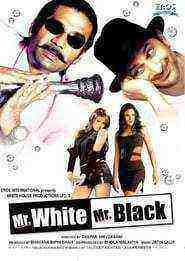 Mr. White Mr. Black (2008)