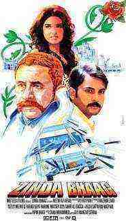 Zinda Bhaag (2013)
