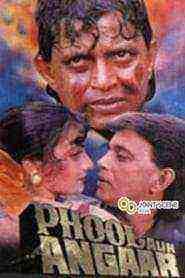 Phool Aur Angaar (1993)