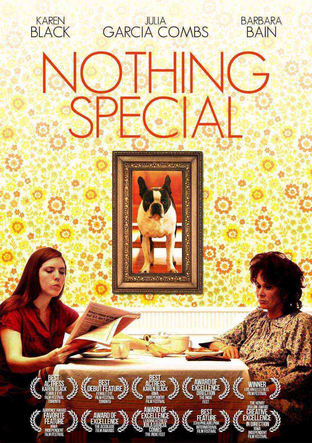 Nothing Special (2010)