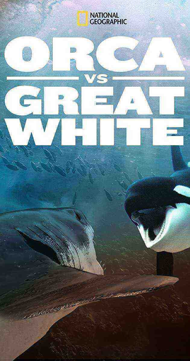 Orca vs. Great White (2021)