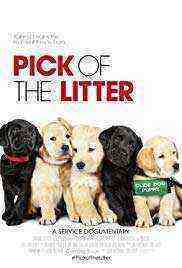 Pick Of The Litter (2018)