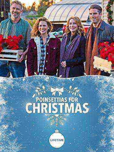 Poinsettias for Christmas (2018)