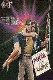 Phool Aur Kaante (1991)