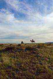 Rancher, Farmer, Fisherman (2017)