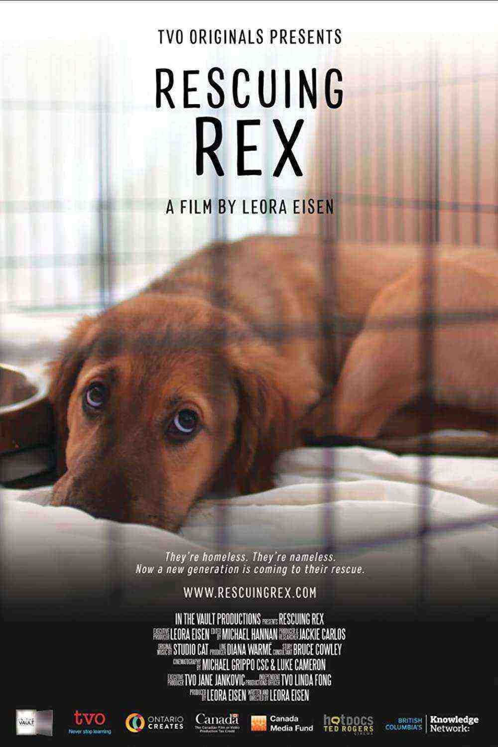 Rescuing Rex (2021)