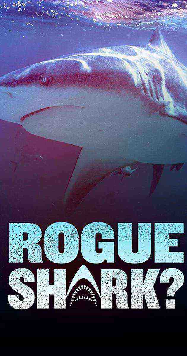 Rogue Shark? (2021)