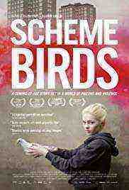 Scheme Birds (2020)