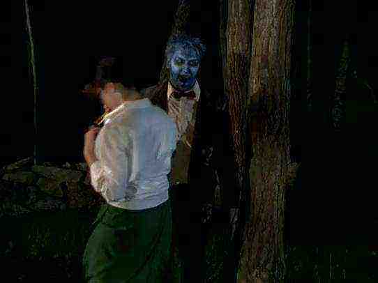 Sexy Adventures Of Van Helsing (2004)