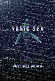 Sonic Sea (2016)