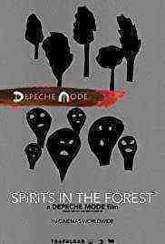 Spirits in the Forest (2019)