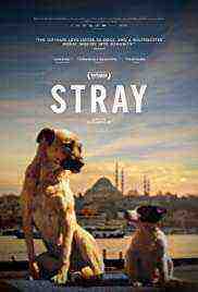 Stray (2021)