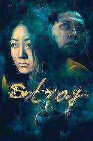 Stray (2019)