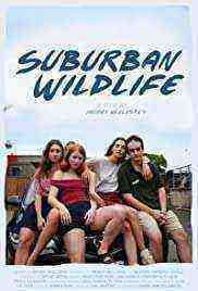 Suburban Wildlife (2020)