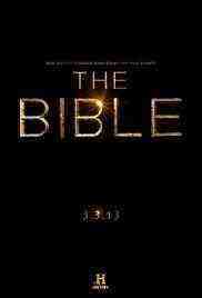 The Bible (1-5 : 2013) 