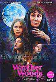 The Watcher in the Woods (2017)