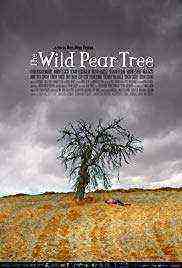 The Wild Pear Tree (2018)
